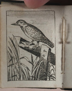 Marshall, John. Infant's Library. [Book 8] (Birds). Marshall, John. No. 4 Aldermary Churchyard in Watling Street. London. Circa 1800