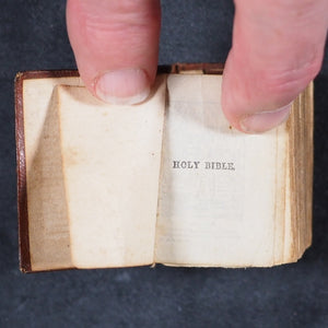 Holy Bible containing Old and New testaments: Translated Out Of The Original Tongues. Glasgow: David Bryce & Son. London: Henry Frowde. Oxford University Press Warehouse, Amen Corner. 1901. 1911 Coronation Bible.