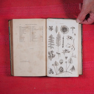 Principles of Botany, And of Vegetable Physiology. Translated from the German. WILLDENOW, D. C[arl], [Ludwig]. Published by William Blackwood and Cadell and Davies. Edinburgh First edition. 8vo, 1805 HARDCOVER