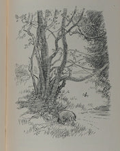 Load image into Gallery viewer, Winnie-the-Pooh. MILNE, A.A. Published by Methuen, 1926.
