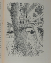 Load image into Gallery viewer, Winnie-the-Pooh. MILNE, A.A. Published by Methuen, 1926.
