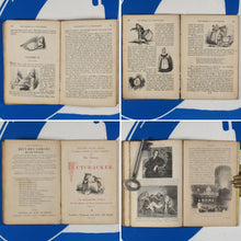 Load image into Gallery viewer, THE HISTORY OF A NUTCRACKER. ALEXANDRE DUMAS. by Alexandre Dumas ; with two hundred and twenty illustrations by Bertall.  Chapman and Hall. 1847
