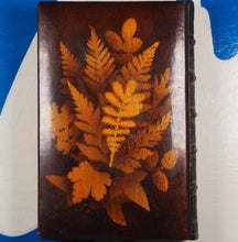 Load image into Gallery viewer, POETICAL WORKS OF SIR WALTER SCOTT SIR WALTER SCOTT &gt;&gt;MAUCHLINE FERN WARE BINDING&lt;&lt; Publication Date: 1874 Condition: Very Good
