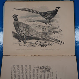 Pheasants for Coverts and Aviaries. Tegetmeier, W[illiam].B[ernhardt]. Publication Date: 1873 Condition: Very Good