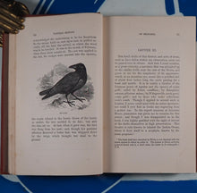 Load image into Gallery viewer, The natural history of Selborne. Arranged for young persons. A new edition with notes. Gilbert White, Sir William, bart Jardine. Society for Promoting Christian Knowledge, London, [1833]
