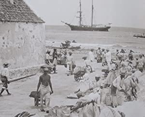 The Caribbean in sepia : a history in photographs, 1840 -1900 Michael Ayre ISBN 10: 0955106877 / ISBN 13: 9780955106873 Condition: Very Good
